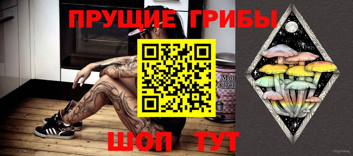 Псилоцибиновые грибы GOLDEN TEACHER  Галлюциногенные грибы Psilocybine cubensis  Красноярск  Вход с VPN 
