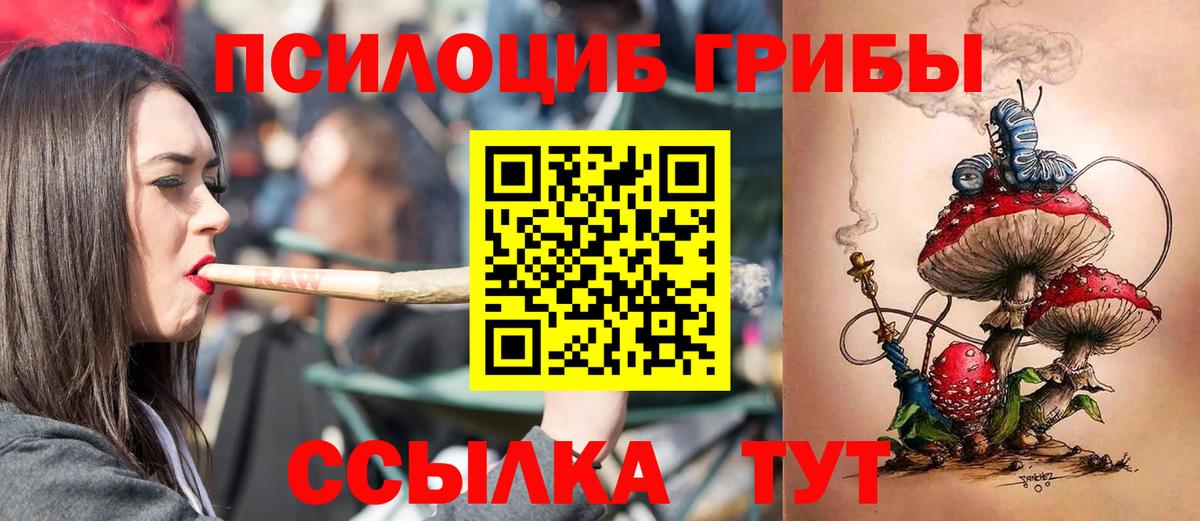 Псилоцибиновые грибы мицелий Красноярск